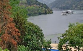 Quinta Da Ermida - Turismo De Habitacao